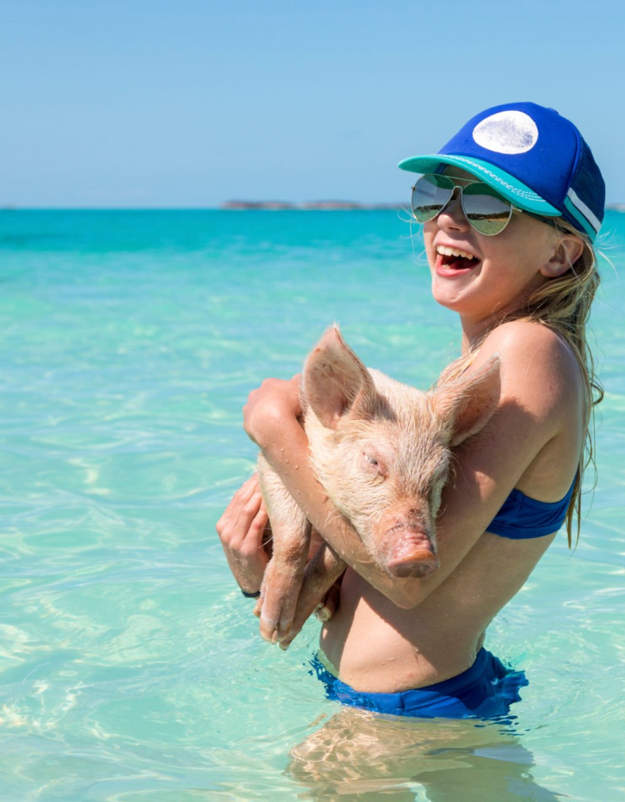 Swim with the Swimming Pigs