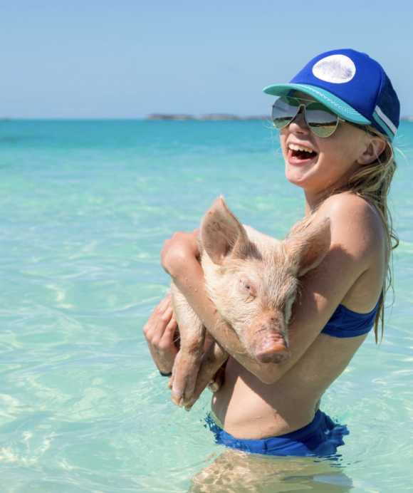 Swim with the Swimming Pigs